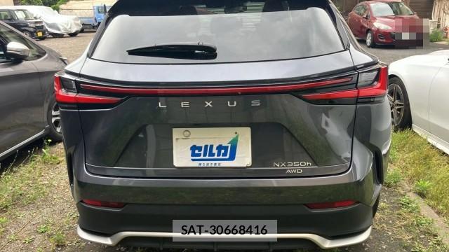 Lexus NX 2023-05 8281022-1