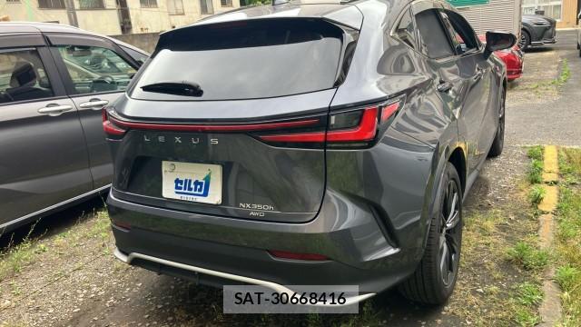 Lexus NX 2023-05 8281022-12