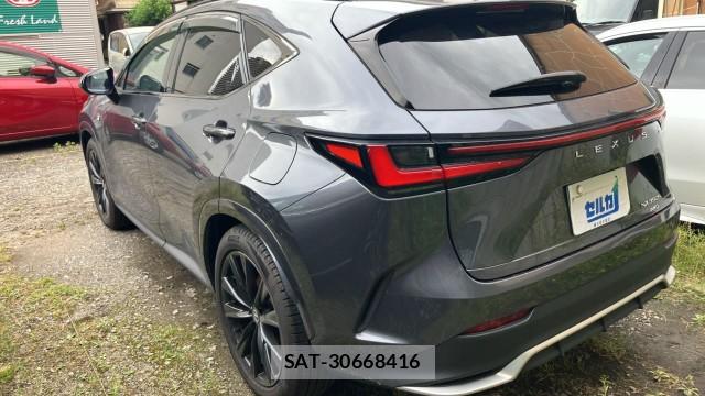 Lexus NX 2023-05 8281022-13