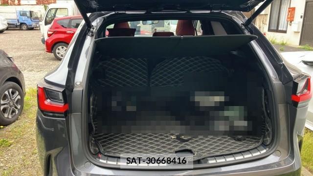 Lexus NX 2023-05 8281022-17