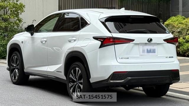 Lexus NX 2021-03 8281061-13