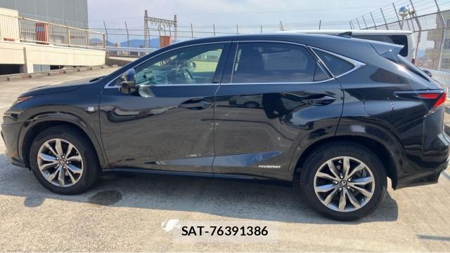 Lexus NX 2016-10 8281102-10