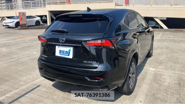 Lexus NX 2016-10 8281102-12