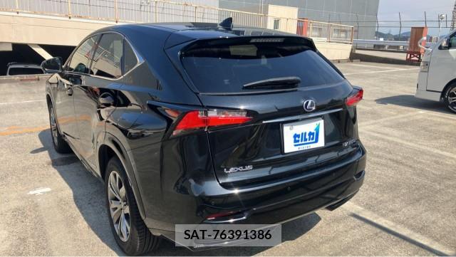Lexus NX 2016-10 8281102-13