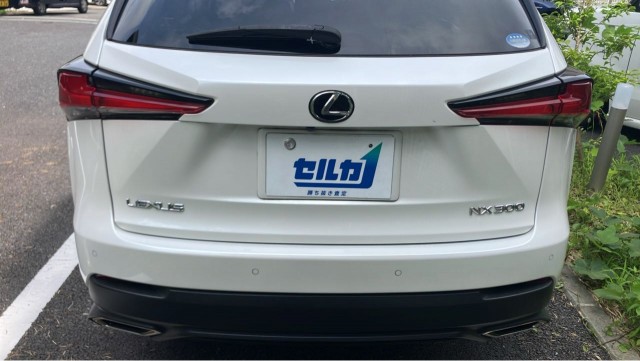 Lexus NX 2020-02 8281600-1