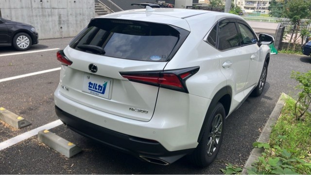 Lexus NX 2020-02 8281600-13