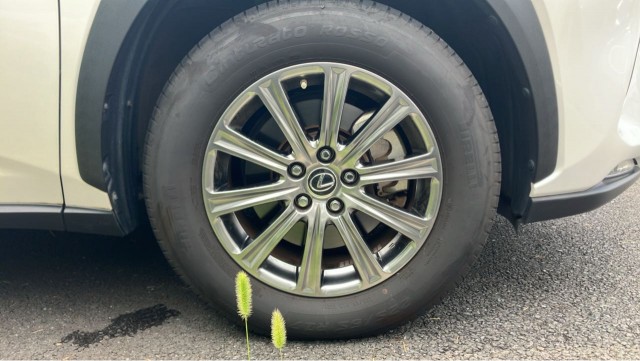 Lexus NX 2020-02 8281600-8