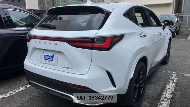 Lexus NX 2024-02 8282327-12