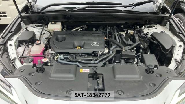 Lexus NX 2024-02 8282327-7