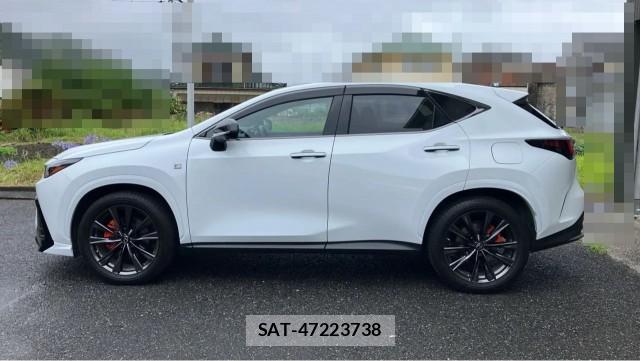 Lexus NX 2021-12 8282363-10
