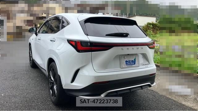 Lexus NX 2021-12 8282363-13