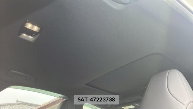 Lexus NX 2021-12 8282363-15