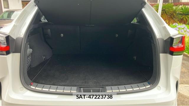 Lexus NX 2021-12 8282363-17