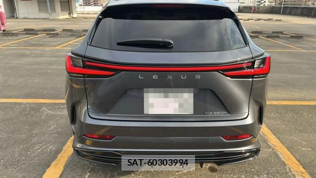 Lexus NX 2024-12 8282484-1