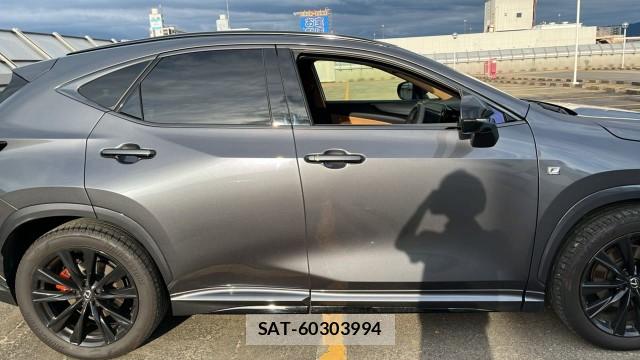 Lexus NX 2024-12 8282484-10