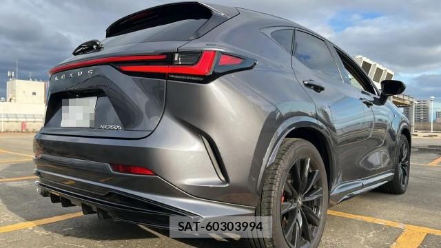 Lexus NX 2024-12 8282484-13