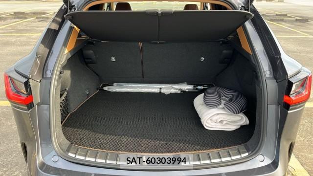 Lexus NX 2024-12 8282484-17