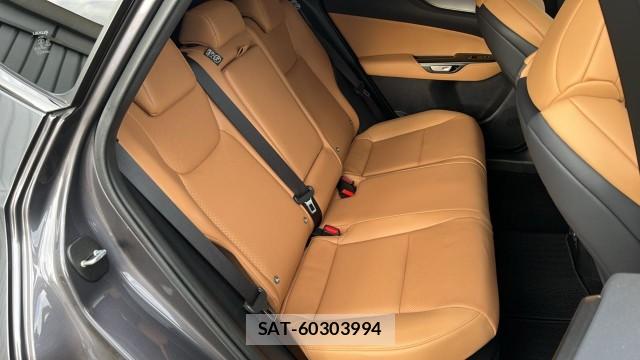 Lexus NX 2024-12 8282484-6