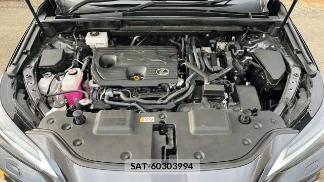 Lexus NX 2024-12 8282484-7