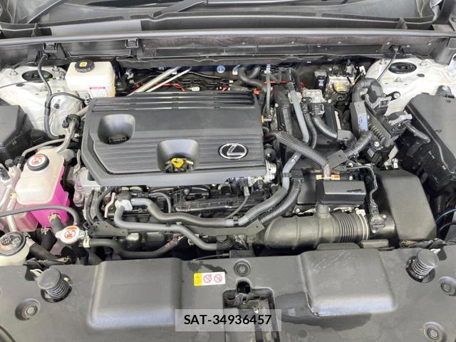 Lexus NX 2023-02 8282651-17