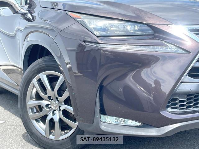Lexus NX 2015-09 8282714-14