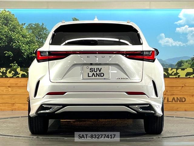 Lexus NX 2024-09 8283228-14