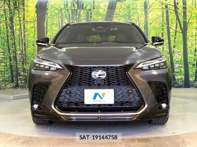 Lexus NX 2022-01 8283471-12