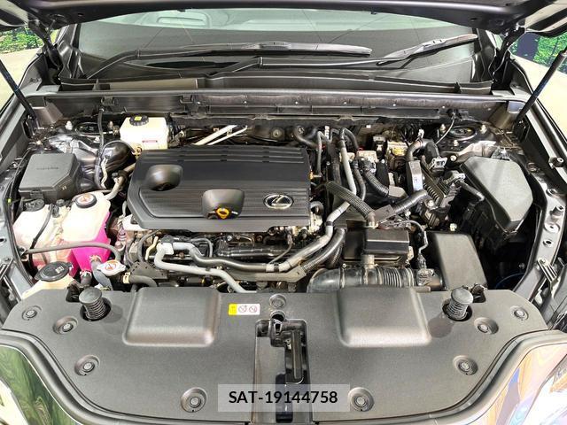Lexus NX 2022-01 8283471-16