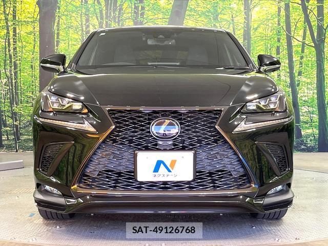 Lexus NX 2021-04 8283473-13