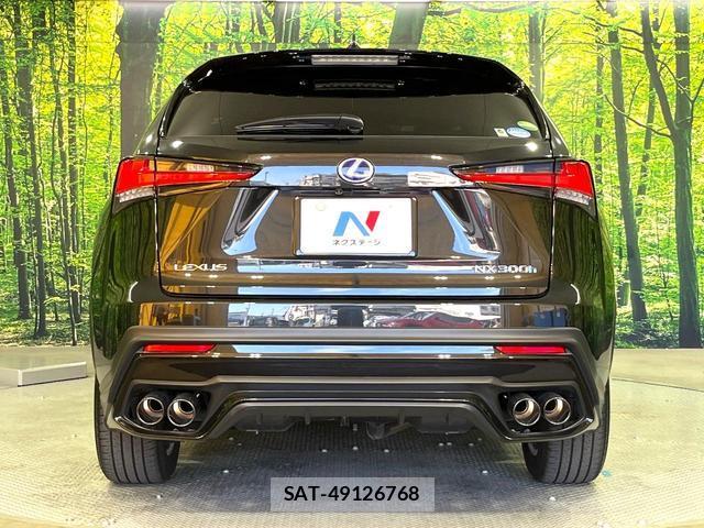 Lexus NX 2021-04 8283473-14