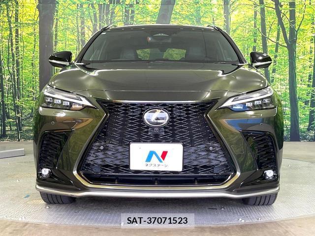 Lexus NX 2023-11 8283484-13