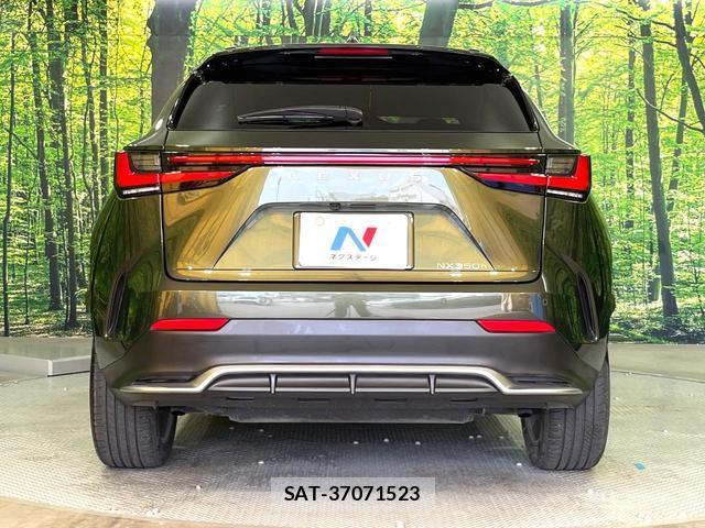 Lexus NX 2023-11 8283484-14