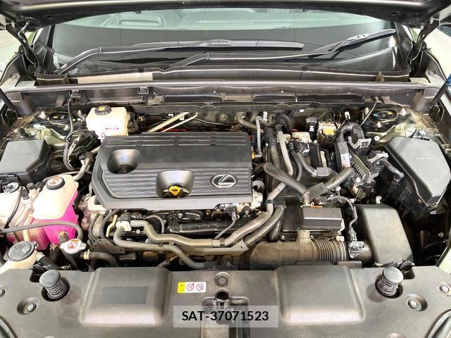 Lexus NX 2023-11 8283484-17
