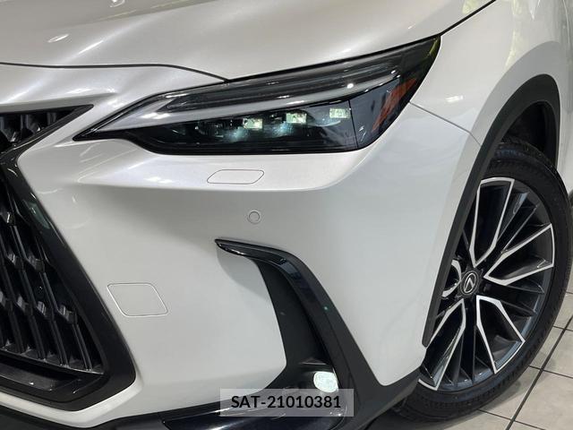 Lexus NX 2023-03 8283656-11
