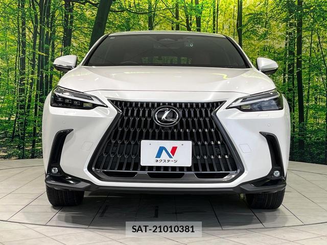 Lexus NX 2023-03 8283656-13