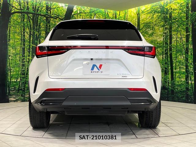 Lexus NX 2023-03 8283656-14