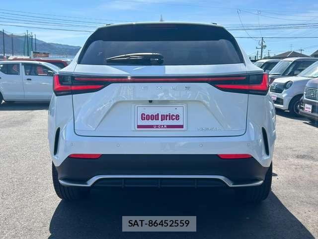 Lexus NX 2024-08 8284021-1