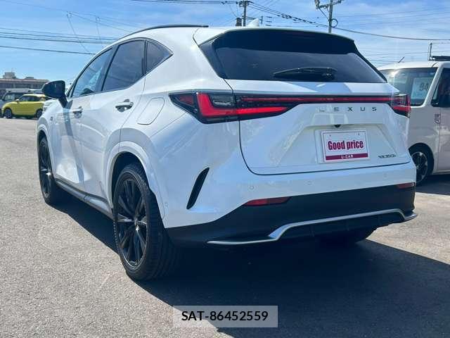 Lexus NX 2024-08 8284021-14