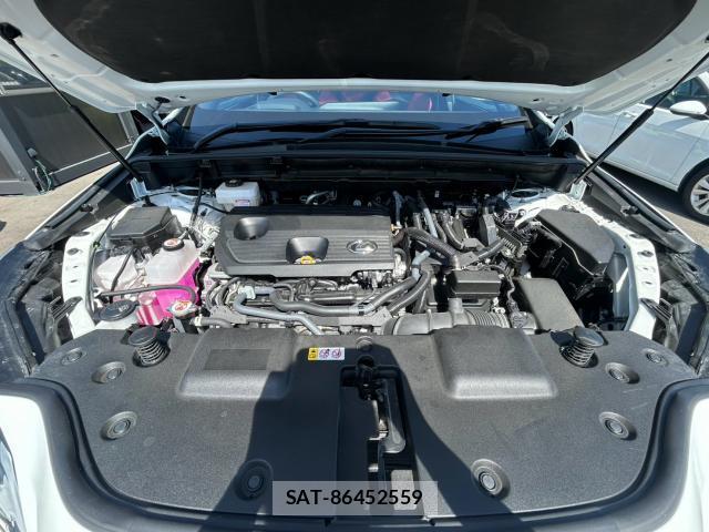 Lexus NX 2024-08 8284021-7