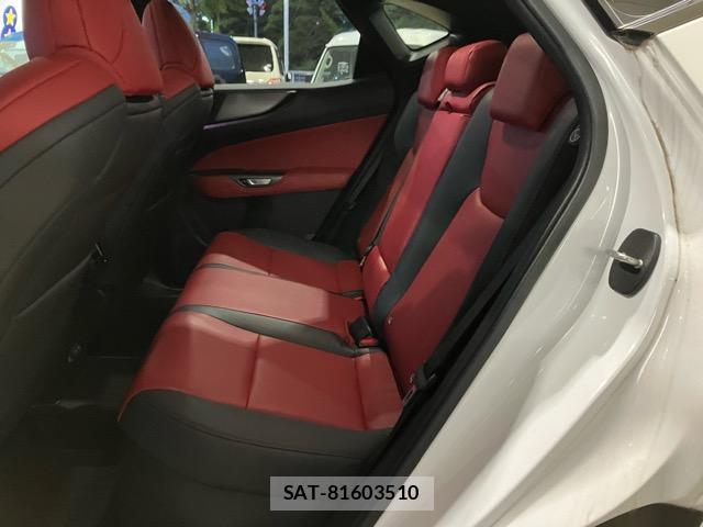 Lexus NX 2023-10 8285031-7