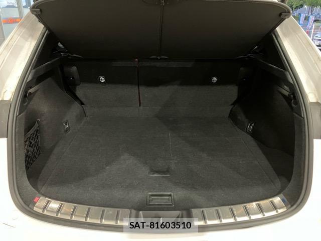 Lexus NX 2023-10 8285031-8
