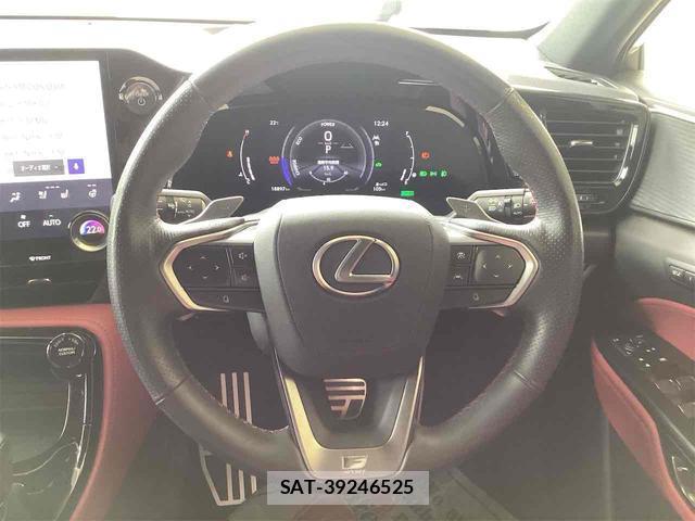 Lexus NX 2024-04 8285386-12