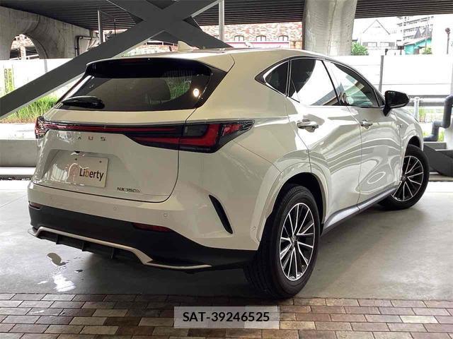 Lexus NX 2024-04 8285386-4