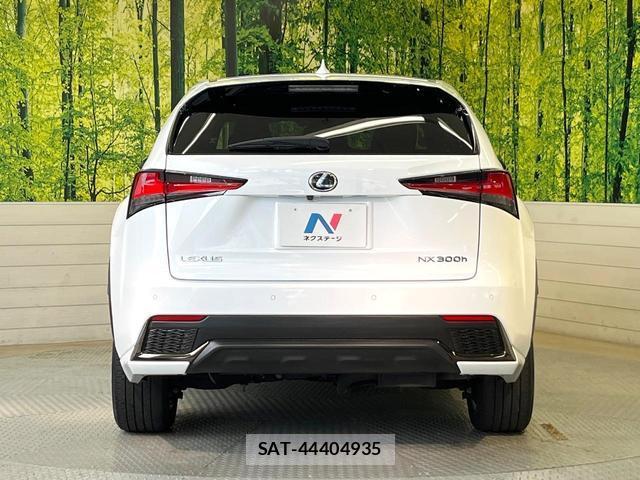 Lexus NX 2018-12 8285461-14