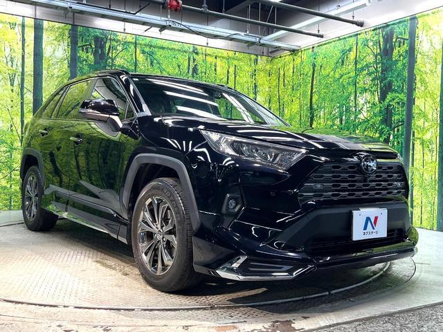 Toyota RAV4 2022-07 8279770-15