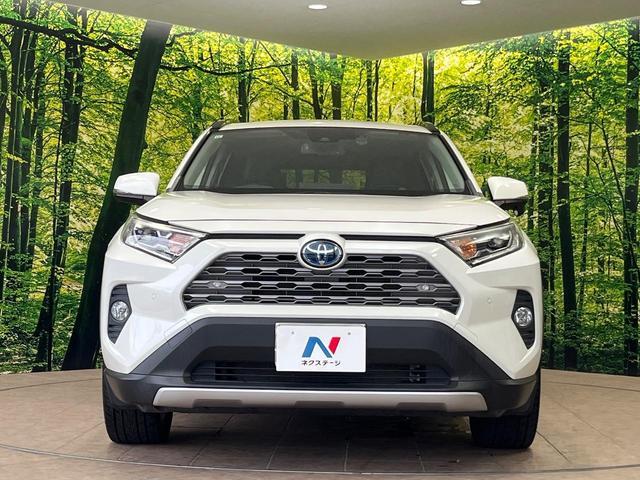 Toyota RAV4 2019-11 8280088-13