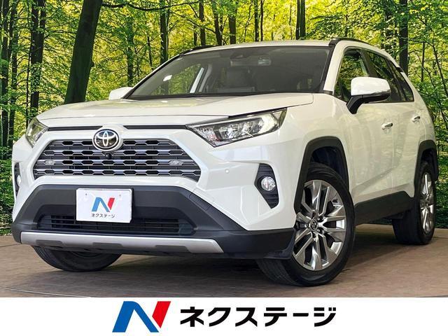 Toyota RAV4 2021-04 8280102-0