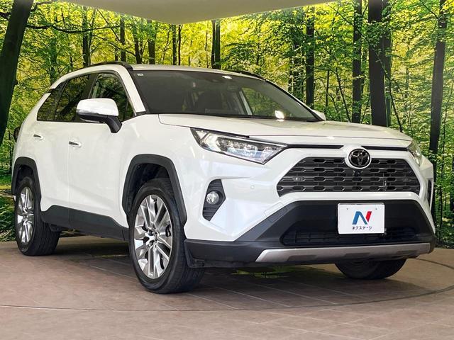Toyota RAV4 2021-04 8280102-15