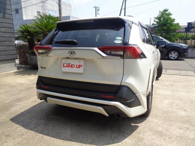 Toyota RAV4 2019-10 8280391-1