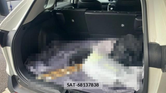 Toyota RAV4 2019-09 8282193-17
